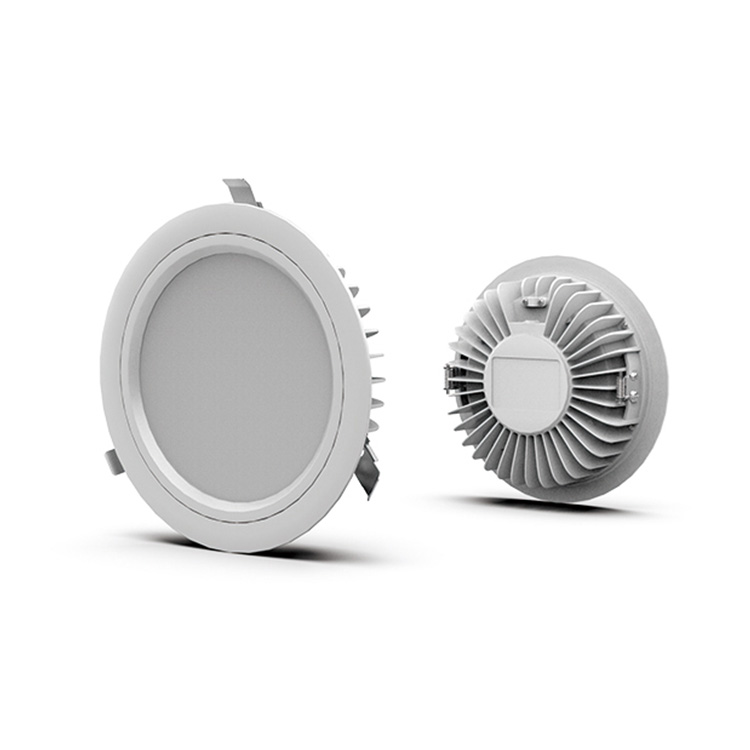 24Vac 36Vdc IP65 Nood-LED-downlight Gecentraliseerde voeding